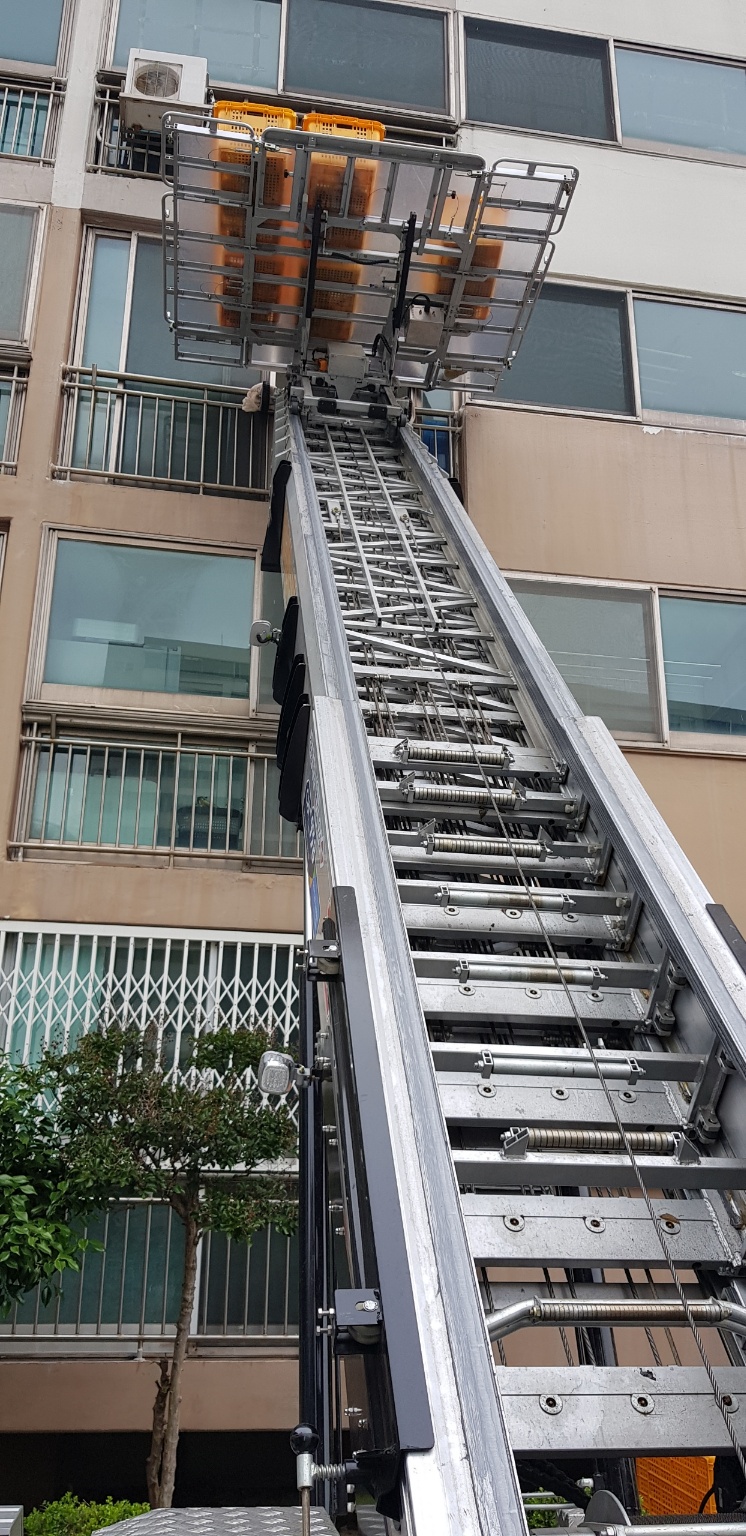 갤러리 사진