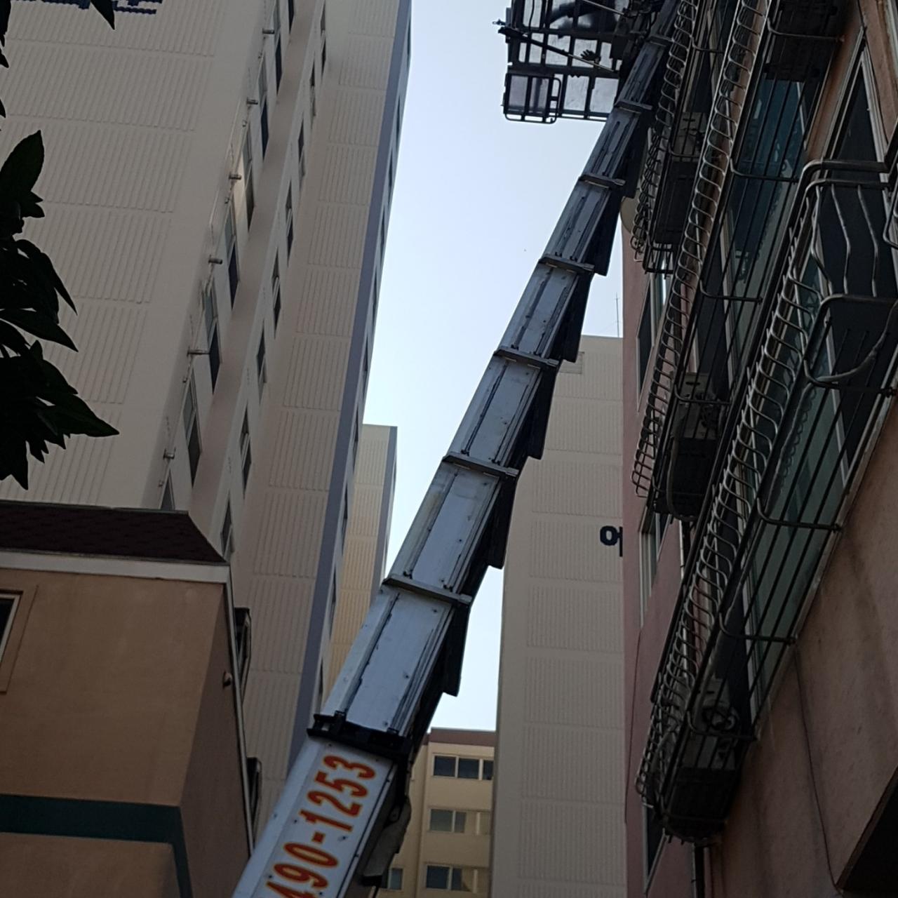 갤러리 사진